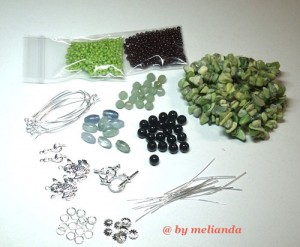 DSCF1488