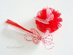 martisor nicoleta