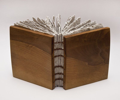 jurnal fagus