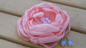 delicate rose