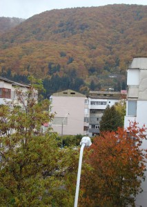 priveliste de la geamul meu- Muntele Cernegura