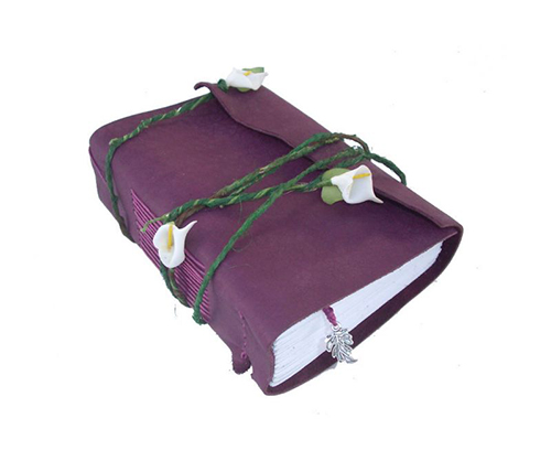 jurnal cale